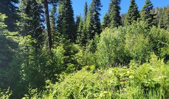 671 W Mountain Rd, Cascade, ID 83611