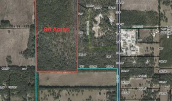 NW County Road 236, Bell, FL 32619