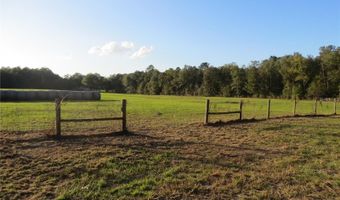 9714 NW 236TH Ter, Alachua, FL 32615