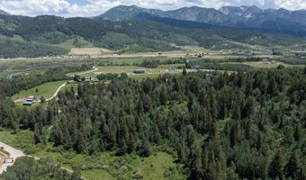 791 LONESOME DOVE Trl, Alpine, WY 83128
