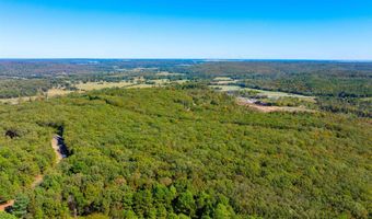 Castle Drive, Batesville, AR 72501