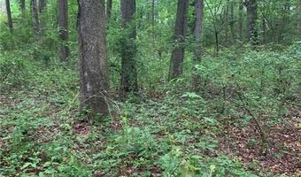 7700 Poole Cir Tract A, Alto, GA 30510
