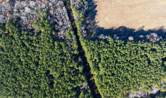 FOLLY CREEK RD, Accomac, VA 23301