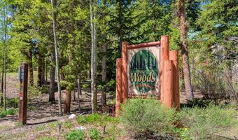 119 WOODS Dr, Breckenridge, CO 80424