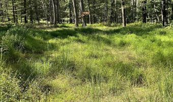 624 MOUNTAIN LION Ln, Augusta, WV 26704