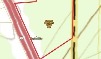 7821 Tallahassee Hwy 8.98+/- Acres, Attapulgus, GA 39815