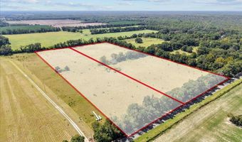 232 344 County Road 344, Bell, FL 32619