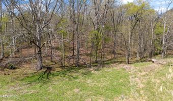 2783 Rutledge Pike, Blaine, TN 37709