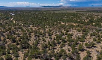 Spanish Peaks Drive, Arroyo Hondo, NM 87513