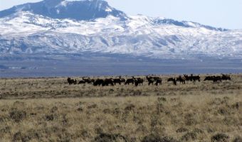 22 Broken Trl N 944-11, Belfry, MT 59008