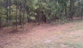 19 Pizarro Dr, Hot Springs Village, AR 71909