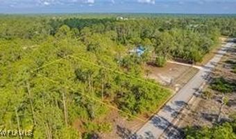 2109 Irving Ave, Alva, FL 33920