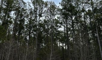Lot C112 DOCK SIDE Lane, Lincolnton, GA 30817
