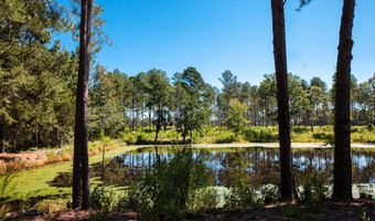 6355 Cobbham Rd, Appling, GA 30802