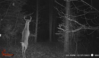 8752 HWY A, Almond, WI 54909