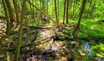 1905 Camp Munn Rd, Bradford, VT 05033