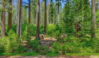 11 Timber Trail Ct, Arnold, CA 95223