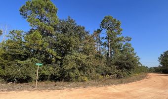 LOT 30 Yvette Dr, Alford, FL 32420
