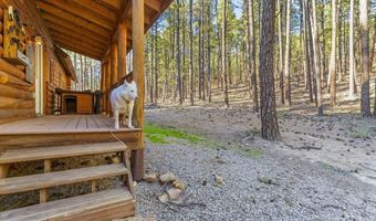 221 Deer Ridge Dr, Bayfield, CO 81122
