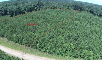 PARISH LINE ROAD lot 4.4, Bernice, LA 71277