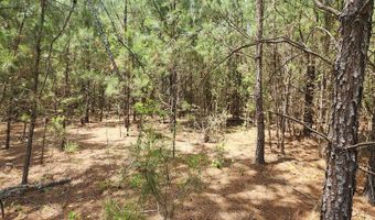 1 Lost Horn Rd, Branchville, SC 29432