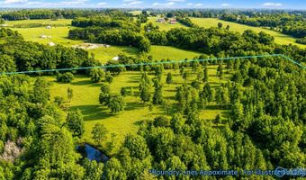 58 Acres Naples Ln, Arab, AL 35016