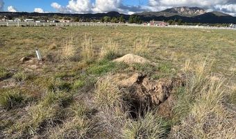 295 Flightline Way, Aguanga, CA 92536