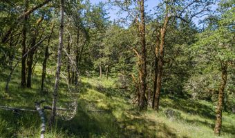 000 Bosley Butte Rd, Brookings, OR 97415
