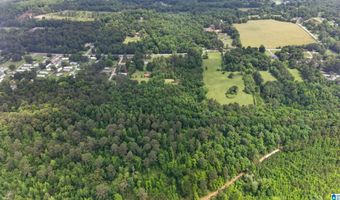 930 ANNISTON BEACH Rd Lot 0, Anniston, AL 36206