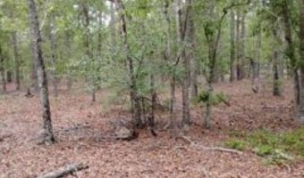 Double Pond Road, Blackville, SC 29817