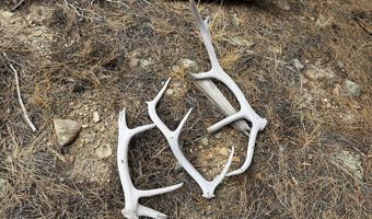 122 Black Hollow Rd, Bellvue, CO 80512