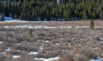140 Kootchie Kootchie Rd Lot 30, Alma, CO 80440