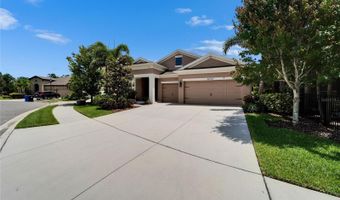 6507 MAIDEN SEA Dr, Apollo Beach, FL 33572