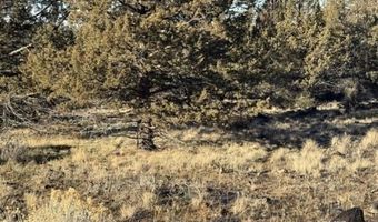 Canvasback Drive, Bonanza, OR 97623