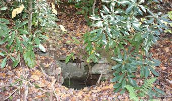 44 Toms Creek Rd, Bakersville, NC 28705