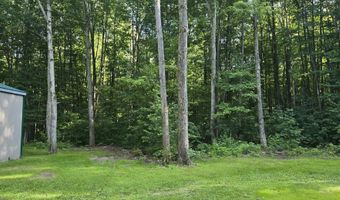 212 3rd Ave, Alden, MI 49646