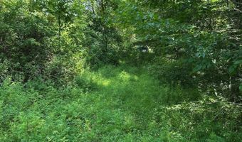 Bryant Hollow Road, Alderson, WV 24910