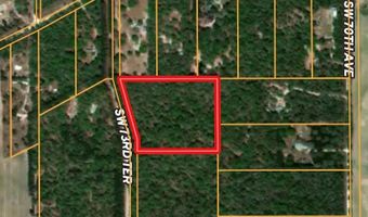 70 Th Ave, Bell, FL 32619