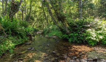 Shark Creek Ln, Arch Cape, OR 97102