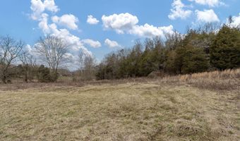 Smithtown Road, Afton, TN 37616