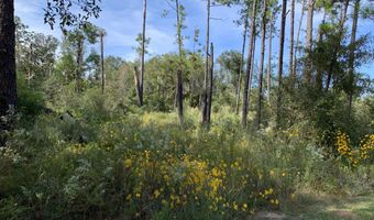 Drury Lane, Alford, FL 32420