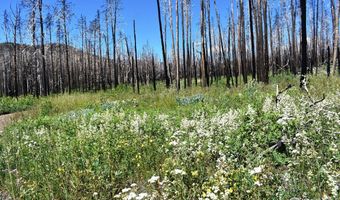 2025 Granite Rd, Bellvue, CO 80512