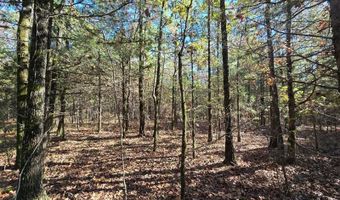 2 TBD Henderson Mill Rd, Bates, AR 72958