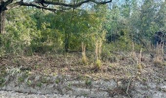 85 Th St, Bell, FL 32619
