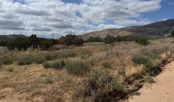 Palgrane Rd Vic Easy, Acton, CA 93510