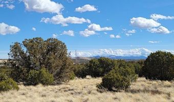 56 County Rd, Concho, AZ 85924