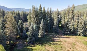 201 Golden Forest Rd, Bayfield, CO 81122