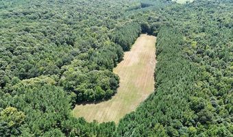 Pleasant Hill Road, Ashland, MS 38603