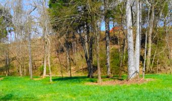 Lot 35 Watauga Lane, Birchwood, TN 37308