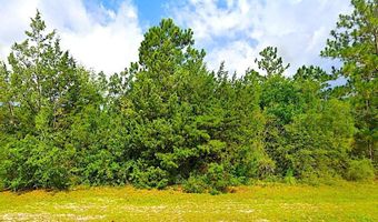 FAIRVIEW ROAD, Alford, FL 32420